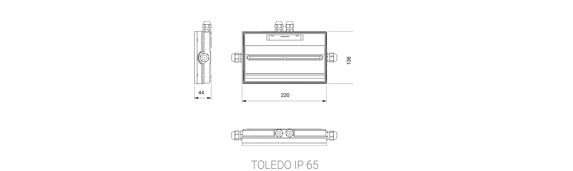 TOLEDO IP65